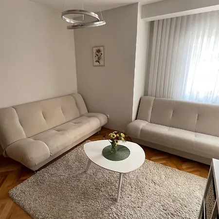 Filip Lux Center