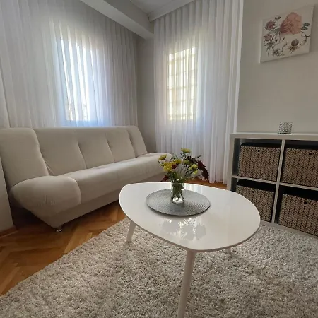 Apartament Filip Lux Center *